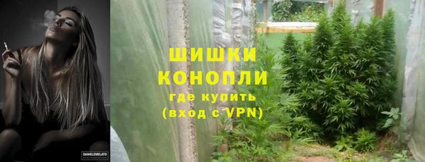 spice Арсеньев